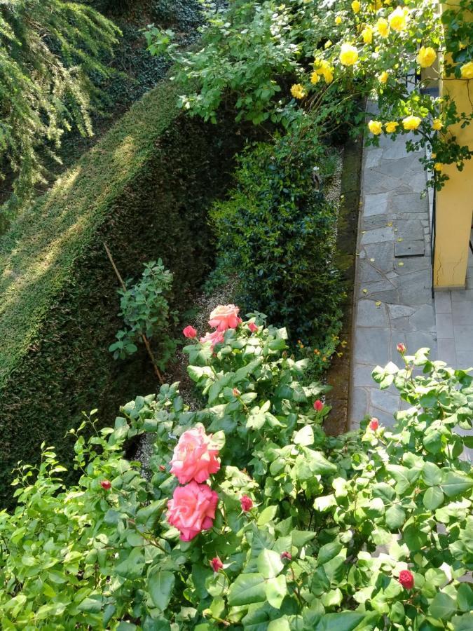 Rose'S Garden - Zona Tranquilla - Vicino Torino Apartment Pino Torinese Exterior photo